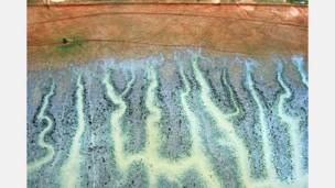 Cortesia do Australia´s National Meteorological Service