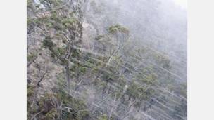 Cortesia do Australia´s National Meteorological Service