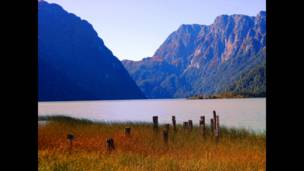 En fotos: la "madera" de la que están hechos nuestros lectores - BBC