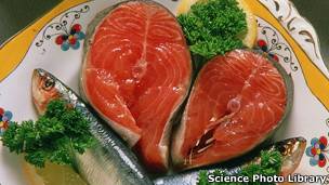 Pescados que no pueden comer las embarazadas
