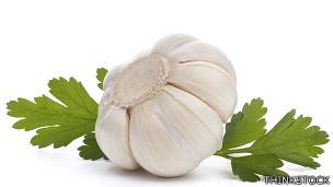 Ajo y perejil