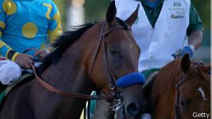 American Pharoah