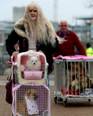 Unas personas circulan con sus perros hacia una feria de mascotas