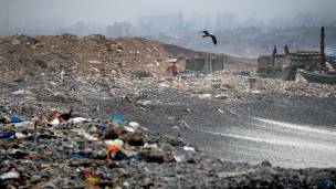 Botadero de basura