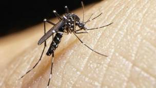 Zika