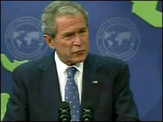 bush