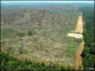 Floresta Amazônica