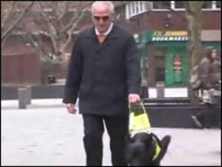Ron, que perdeu a visão há 30 anos, anda com seu cachorro
