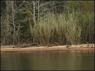Chris Evans-River to River Cooperative Weed Management Area