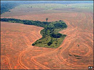 Imagem aérea mostra área desmatada para o cultivo de soja no Pará (AP/Greenpeace/arquivo)