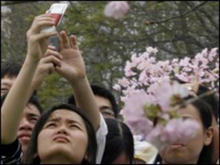 Lễ hội hoa anh đào năm 2008 ở Hà Nội
