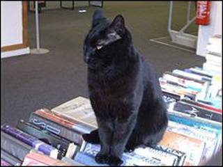 Fidel, el gato