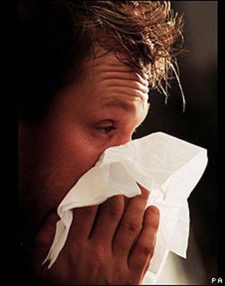 Gripe porcina