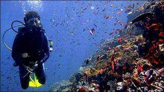 Arrecifes de coral en la isla de Komodo.