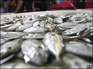 Peixes