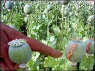سرنگ و ماده مخدری مانند هرویین یا کوکایین