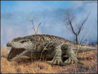 Rồng Komodo