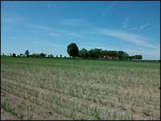 Campos europeos