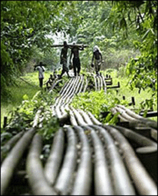 Đường dẫn dầu ở Nigeria