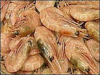 Langostinos
