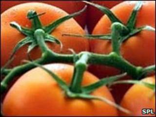 Tomates