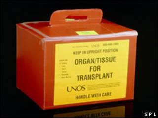 Caja de transporte de órganos para transplantes