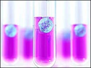 Fertilización in vitro
