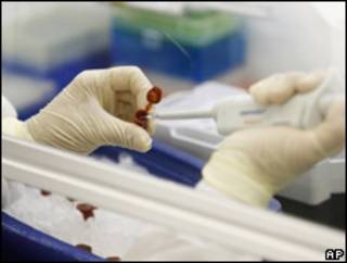 Laboratorio