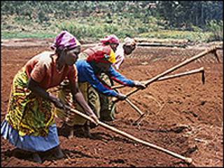 Wasu manoma maata a Afrika