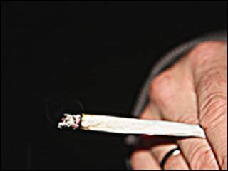 Cannabis