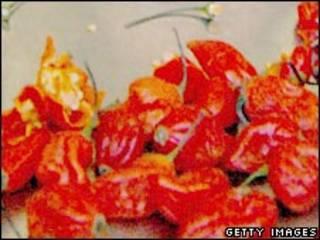 Pimenta (arquivo)