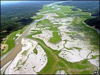 Amazonas brasileño.