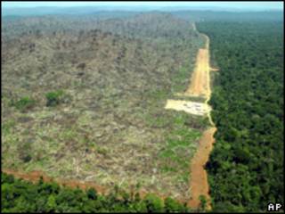 Amazônia (arquivo)