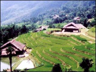 Rừng đầu nguồn ở Hà Giang