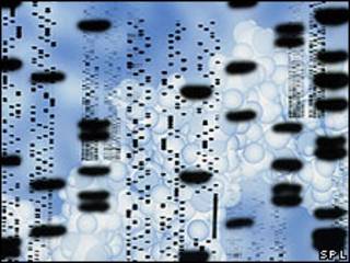 Secuencia molecular de ADN.