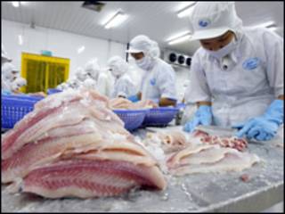 Cá basa xuất khẩu tại một xưởng chế biến ở Việt Nam