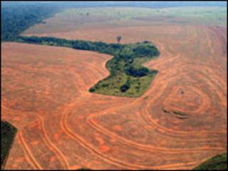 Deforestación en el Amazonas. Foto: Greenpeace.