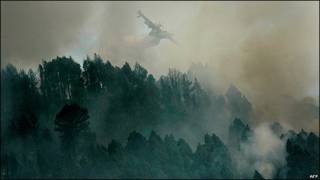 Incendio en la isla de La Palma, verano de 2009. España.