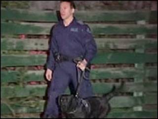 Policia com cachorro participa da operação em Melbourne