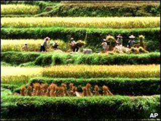 Chính phủ TQ đang thử nghiệm dự án trả nông dân lương hưu