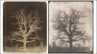 Ảnh của Wiliam Fox Talbot