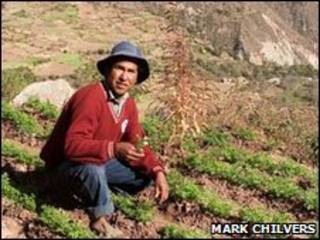 Bolivia