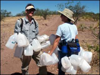 Walt Staton e outra voluntária coletam garrafas vazias para reuso e reciclagem (Foto: ONG No More Deaths)