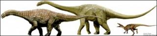 DInossauros já encontrados na Austrália