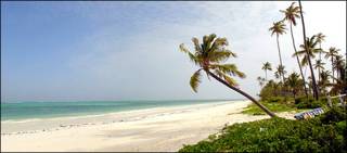 Zanzibar