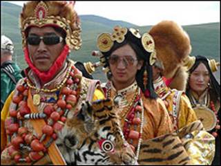Pieles de tigre