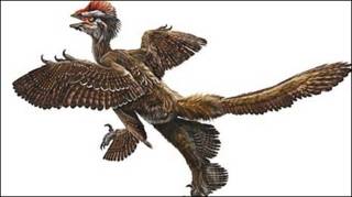 Dinosaurio emplumado (Xu Xing)