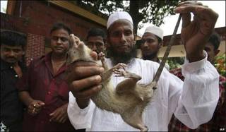Hombre con rata muerta en Bangladesh