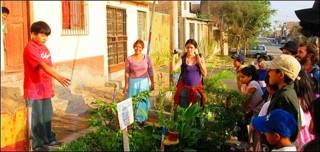 Educación ambiental