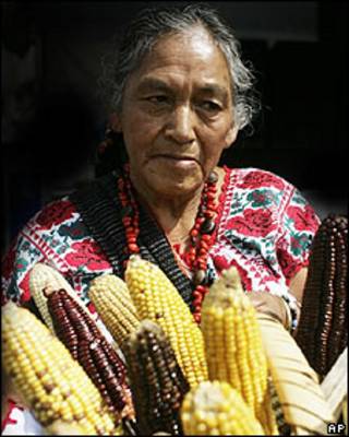 Mujer con cesta de mazorcas
